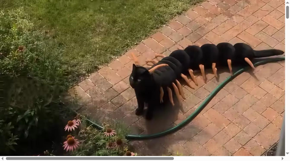 Catastrophic Legs™ Centipede Costume | 100 Legs, Zero Regrets