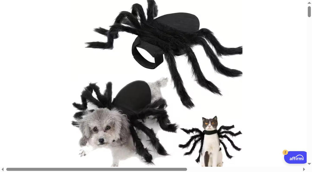 Catastrophic Legs™ Spider Costume | Eight Legs, One Judgmental Cat