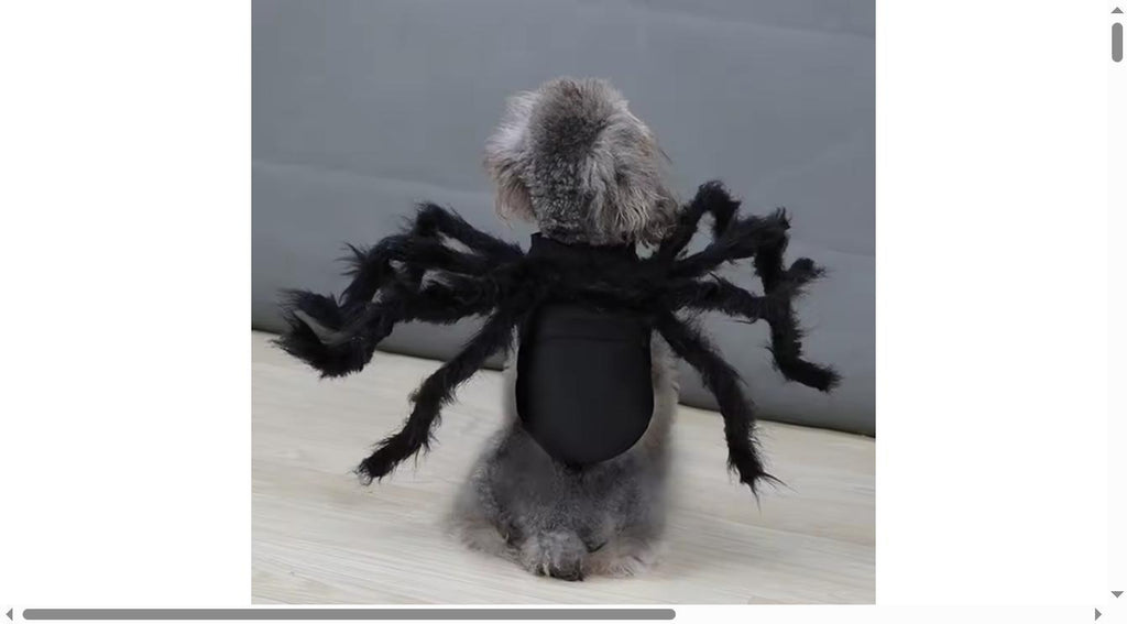 Catastrophic Legs™ Spider Costume | Eight Legs, One Judgmental Cat