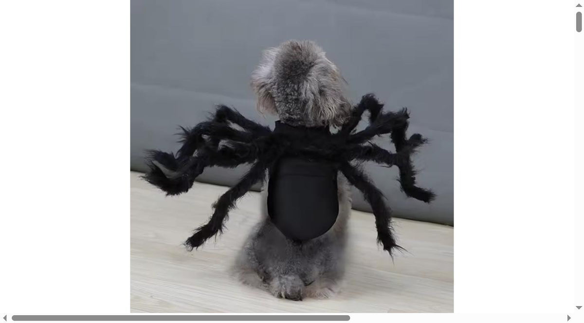 Catastrophic Legs™ Spider Costume | Eight Legs, One Judgmental Cat