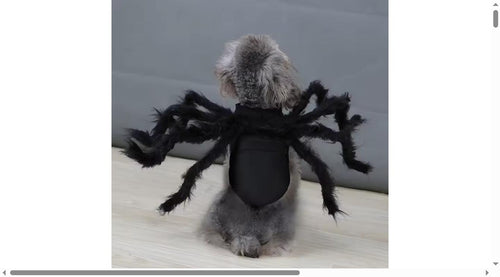 Catastrophic Legs™ Spider Costume | Eight Legs, One Judgmental Cat