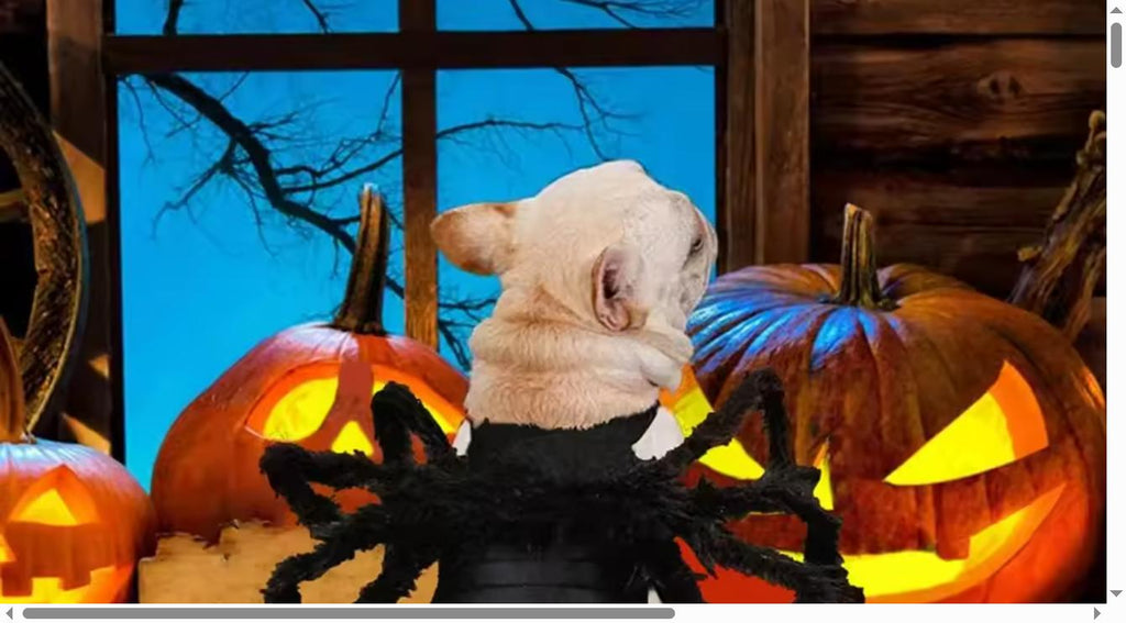 Catastrophic Legs™ Spider Costume | Eight Legs, One Judgmental Cat
